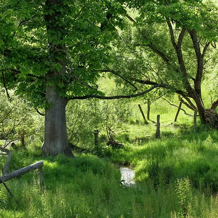 Semesterbostad Spacious Retreat